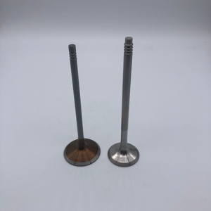 วาล์วไอดีวาล์วเครื่องยนต์ร้อนวาล์วไอเสียสำหรับ N52 BMW <span class=keywords><strong>N52B30</strong></span> 3.0L N52B25 2.5L 11347553771 11347553772 11347539919 11347553774 - Product Image 6