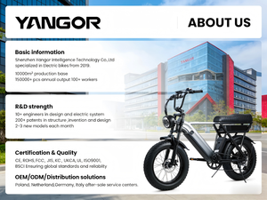 Vélo de route électrique urbain YANGOR H700 26 pouces 36V, vélo électrique urbain Rothar Leictreach Fiets E Elettrica, prix bas, neuf en stock, prêt à être expédié - Product Image 5