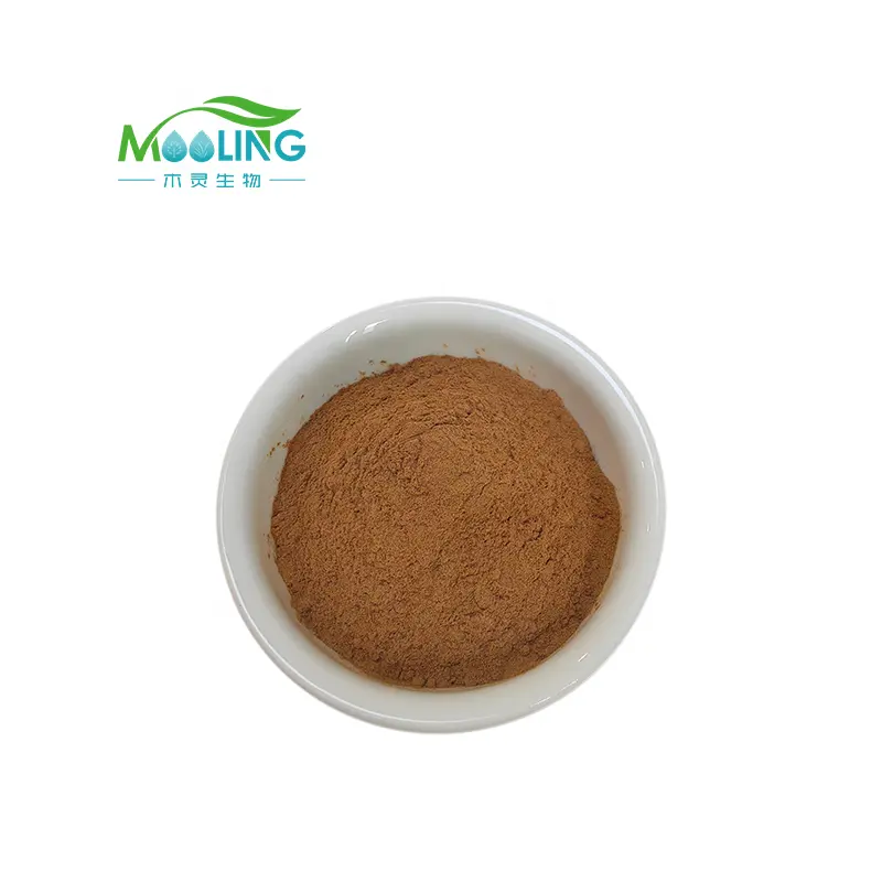 Wholesale Cimicifuga Racemosa Extract Black Cohosh Extract Cimicifuga Racemosa Powder Black Cohosh Root Extract