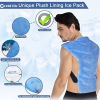 Feelworld-bio — support de glace réutilisable pour les douleurs du dos, thérapie contre le froid, pour les lombaires, soulagement des douleurs musculaire et sciatique, bleue