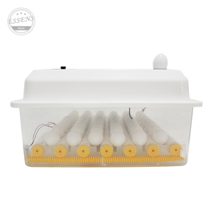 Offre Spéciale automatique <span class=keywords><strong>de</strong></span> poulet et <span class=keywords><strong>de</strong></span> canard incubateur d'oeufs incubateur d'oeufs <span class=keywords><strong>de</strong></span> perroquet entièrement automatique pour les oeufs <span class=keywords><strong>de</strong></span> <span class=keywords><strong>faisan</strong></span> - Product Image 5