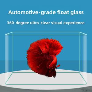 Aquarium de bureau en verre incurvé HD JSD, réservoir écologique pour poissons, tortues et plantes aquatiques, idéal pour le bureau, la salle d'étude ou la chambre. - Product Image 3