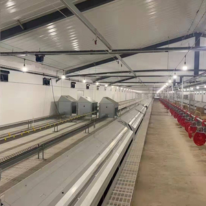 egg to chicken machine hatching chicken eggs automatic egg nest box chicken poultry farm equipment for poultry farming