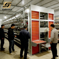 Système d'alimentation automatique complet pour poules pondeuses en cages, type H, avec distribution d'eau et de nourriture automatique