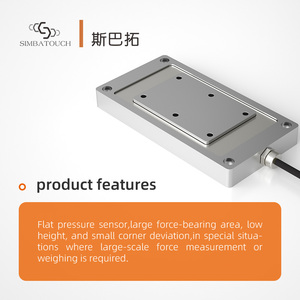 Flachsensor Hitzebeständig aus Edelstahl/Aluminiumlegierung fü<span class=keywords><strong>r</strong></span> Arbeiten bei Hohen Temperaturen, Statische Kompression und - Product Image 3