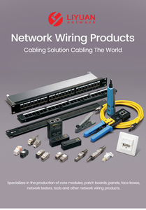 Liyuan ตัวเชื่อมต่อแบบอินไลน์ Cat6a FTP แจ็คสโตนชนิดวัสดุโลหะแบบ LY-D01-AP050อะแดปเตอร์ตัวเมีย - Product Image 6