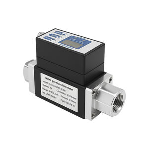 DN10 デジタル可変面積式ガス流量計 工業・研究室用 OEMカスタマイズ可能 様々なパイプ径対応 - Product Image 1