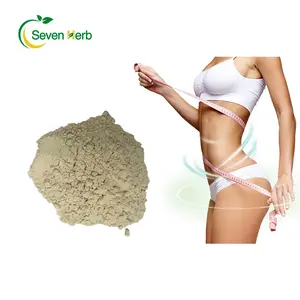 Food Grade Fiber 100% Pure Psyllium Husk Powder Psyllium Seed Husk Powder 97% 98% For Weight Loss