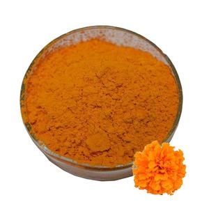 Testador de luteina boânica em pó, extrato de flor marigold, zeaxantina, luteina em pó, extrato de marigold em massa - Product Image 1