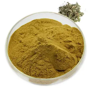 ISO Certification Factory Supply Epimedium Extract Powder Popular Horny Goat Weed Extract In Stock For Sale