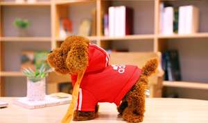 <span class=keywords><strong>Chien</strong></span> en laisse électrique en peluche <span class=keywords><strong>qui</strong></span> <span class=keywords><strong>parle</strong></span>, <span class=keywords><strong>marche</strong></span>, aboie, bouge <span class=keywords><strong>et</strong></span> chante comme un <span class=keywords><strong>chien</strong></span> jouet d'enregistrement Teddy Talker - Product Image 5