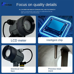 ステンレス鋼ガス流量センサー熱渦タービン質量流量計（空気、各種ガス用）OEMカスタマイズ可能高精度 - Product Image 5