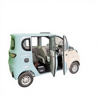 Nouvelle Voiture Électrique à Énergie Renouvelable, Mini Véhicule Électrique 4 Roues pour Adultes, SUV Électrique, Véhicule à Basse Vitesse, Moteur 1000W, Freins à Disque Doubles