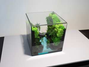 ชุดปลูกต้นไม้ในสวนแก้วมอสแบบสองชั้นวัสดุธรรมชาติจำลองที่ทนทานทำจากเส้นใยมอสที่เก็บรักษาไว้ - Product Image 5