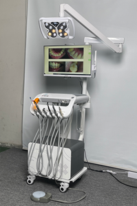 Portable <strong>Dental</strong> Workstation with LED Butterfly Whitening Light Integrated Air Water Mobile <strong>Dental</strong> Cart Autoclavable Silicone Pad - Product Image 2