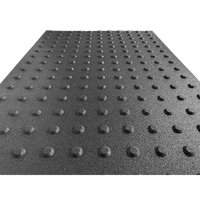 Briques de pavage tactiles en caoutchouc, briques d'avertissement de détection, avec des rayures en relief et une surface en relief, adaptées aux aveugles.