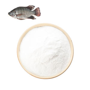 Pasokan pabrik bubuk kolagen peptida ikan bubuk peptida kolagen - Product Image 3