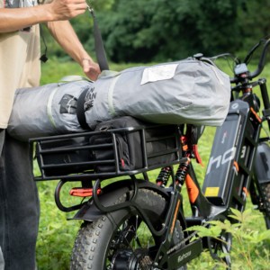 Juliet 3 Eahora Custom Motor Power 95N-m * 2 Ebike 48V 60Ah Travel Work Cargo Bicicleta eléctrica de largo alcance Bicicleta eléctrica - Product Image 4