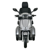 Nouveau Scooter à Trois Roues 2026 de Fabrication Chinoise, 25km/h, Autonomie 50km, Batterie Lithium, Moteur Brushless 1000W, Étanche, en Alliage d'Aluminium