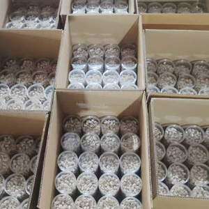 手作りオーシャンテーマ装飾アート-DIYシーシェルクラフトプロジェクトクリスマスプレゼントプレゼント - Product Image 4