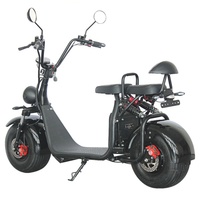 Fabricant chinois de motos électriques sportives E-fun à grande vitesse, 1500W, batterie au lithium sans balais, 60V, 45 km/h