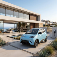 Véhicule électrique à quatre roues au lithium-ion, léger, économique en énergie, élégant, longue autonomie (80 km), vitesse maximale de 45 km/h, idéal pour les voyages sur route en campagne