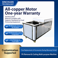 XINCHUAN Fabriek Leverancier Automatische Olijfpittenverwijderaar Longan Zaadverwijderingsmachine Motor Kerncomponent 380V Fruit Groente