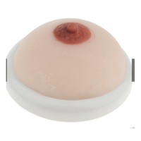 Maniquí de PVC para Práctica de Sutura Mamaria, Modelo de Enseñanza Médica Realista Avanzado, Certificado ISO9001/14001, Chinon BIX-RF4, para Enfermería