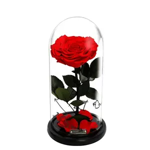 Bonito regalo del día de San Valentín rosas conservadas en cúpula de cristal color de los Emiratos Árabes Unidos TKA forma de corazón Rosa conservada en cúpula de cristal con oído