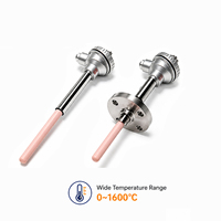 Thermocouple K Type 4-20mA Probe Temperature Controller Stainless Steel IP65 PT100 PT1000 RTD 300mm Probe Length OEM ODM