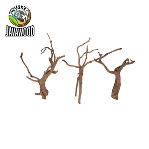 Bois décoratif en forme d'araignée naturel pour accessoires de décoration aqua scape altingia excelsa d'indonie - Product Image 3