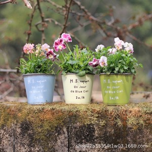 Vaso per <span class=keywords><strong>Piante</strong></span> Grasse in Ferro Battuto, Fioriera <span class=keywords><strong>da</strong></span> Parete per Esterni, Cortile, Terrazza, <span class=keywords><strong>Balcone</strong></span> - Product Image 2