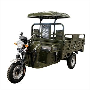 Triciclo de Carga a Gasolina con Volquete Automático para Uso Agrícola y Doméstico, 20-50 km/h - Product Image 1