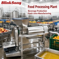Extracteur de jus industriel commercial pour fruits et légumes, haute efficacité, type vis, en acier inoxydable 304, pour usine de boissons