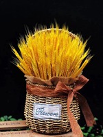 100 Pcs Buket Rumput Pampas Bunga Kering Dekorasi Musim Gugur Gaya Farmhouse Desain DIY untuk Meja Rumah, Pesta Pernikahan, Dekorasi Hari Ibu
