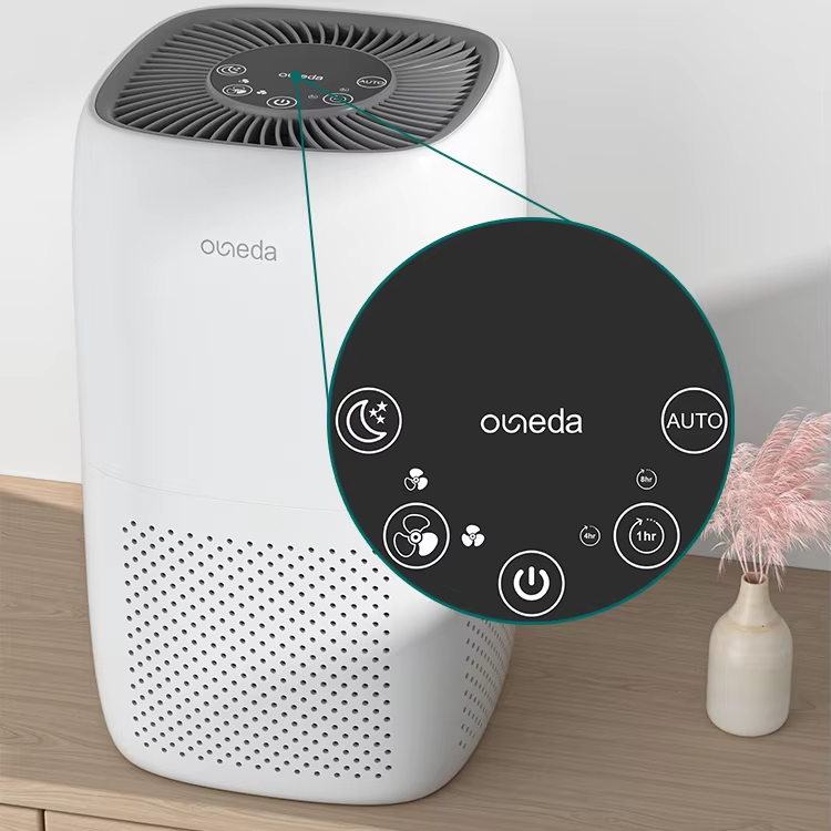 Intelligent True Air Purification Portable Air