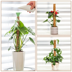 Support de plante déformable écologique à motif vertical classique pour décoration extérieure et intérieure, idéal pour l'hôtellerie - Product Image 6