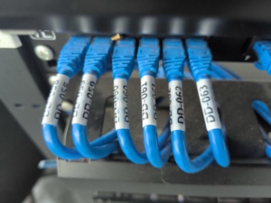 Chất lượng cao tùy chỉnh Cáp nhãn bán buôn Pet truyền nhiệt <span class=keywords><strong>in</strong></span> ấn Mã Vạch Tính năng thu nhỏ nhãn loại trong màu sắc khác nhau - Product Image 4