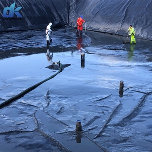 Revestimiento de estanque de peces Precio de Geomembrana de HDPE para lagos artificiales 0,75mm 0,5mm 0,3mm Revestimiento de estanque de Geomembrana - Product Image 3