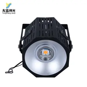 Nhà Sản Xuất Led Cob Lũ Ánh Sáng Led Cao Mast Ánh Sáng Với Hệ Thống Nâng Đối Với Chiếu Sáng Ngoài Trời