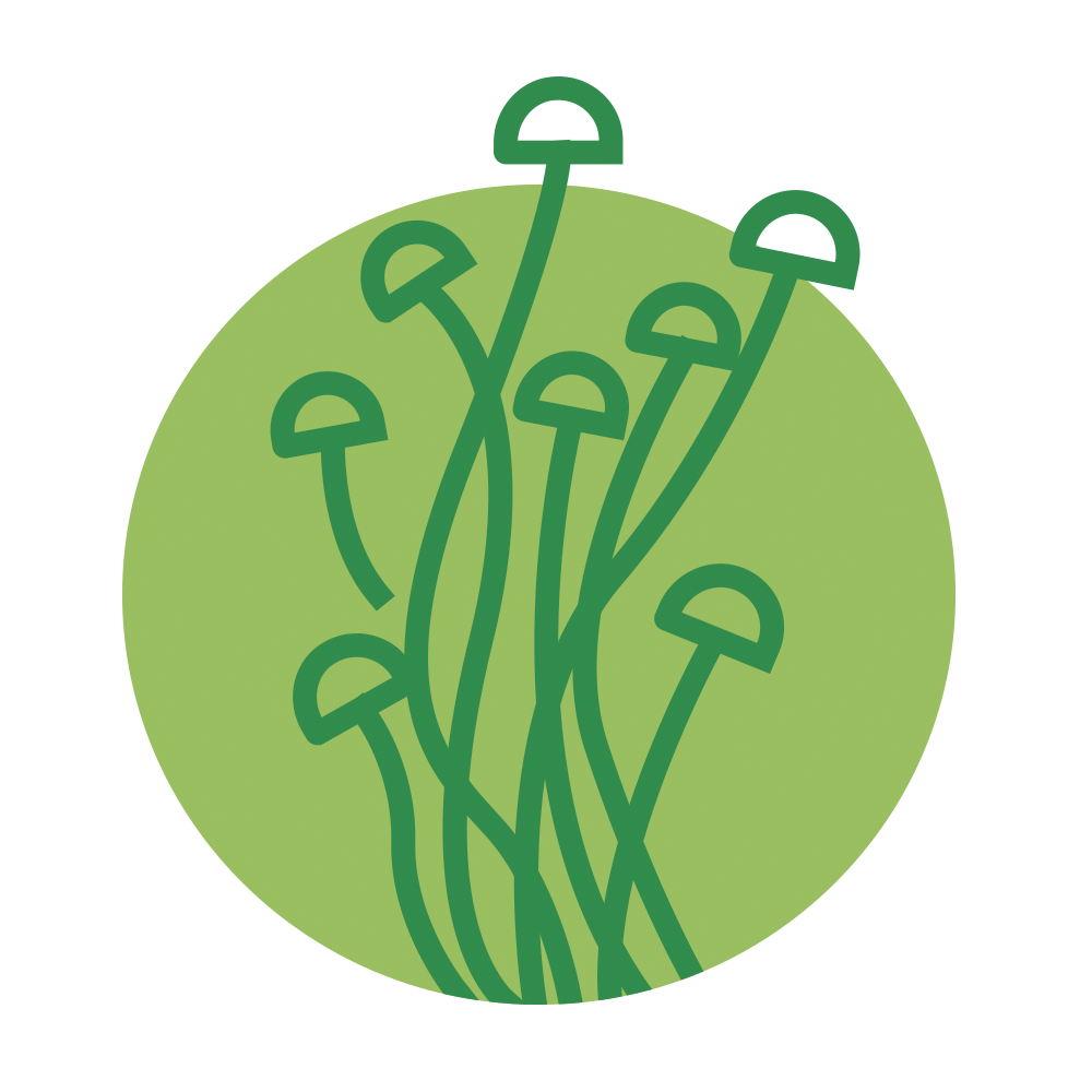 Fujian Herbal Treasure Bioengineering Co.Ltd logo