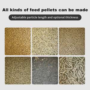 Machine à granulés d'aliments pour animaux <span class=keywords><strong>en</strong></span> <span class=keywords><strong>vente</strong></span> directe d'usine <span class=keywords><strong>en</strong></span> Chine - Product Image 2