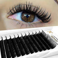 Abonnie Wholesale C D CC DD Curl Warna Hitam Wet Look Lashes Natural Curling Wet Lashes Extensions