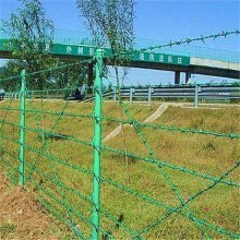 <span class=keywords><strong>ลวดหนาม</strong></span>ความแข็งแรงสูง, ลวดรั้วป้องกันการบุกรุกสำหรับการรักษาความปลอดภัยชายแดนแบบหนัก - Product Image 6
