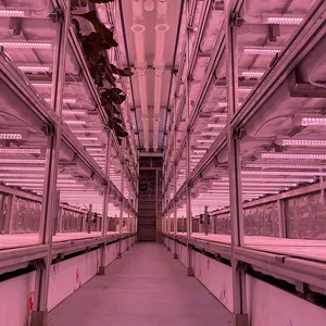 40 Voet Container Hydrocultuur Boerderij Kas Agrarische Growing System