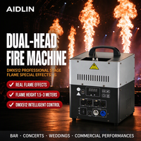 Machine à flamme double tête 250W, jet de flamme réelle avec soupape de sécurité, résistante aux hautes températures pour mariages, clubs, concerts et événements