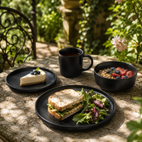Service de Table Noir de Luxe Contemporain en Grès Céramique et Porcelaine Premium, Assiettes, Bols, Tasses, pour Commande en Gros, Compatible Lave-Vaisselle