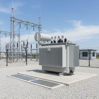 Transformateur immergé dans l'huile 10 kV S11 extérieur 3P 800 kVA haute efficacité 50/60 Hz bobine en cuivre 400 V pour centre de données Honggu