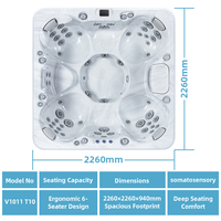 VIRLUX V1011 Baignoire Balnéo Extérieure de Luxe Exclusive pour 6 Personnes, Spa d'Hydrothérapie