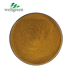 Factory Supply High Quality Spilanthol Semilla Powder 10:1 Acmella Oleracea Extract